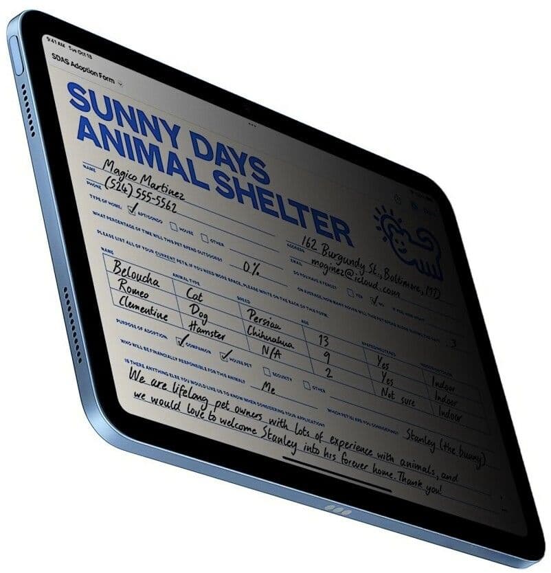 Trolsk Skjermbeskytter Privacy Herdet Glass (iPad 11/iPad 10,9 (2022))