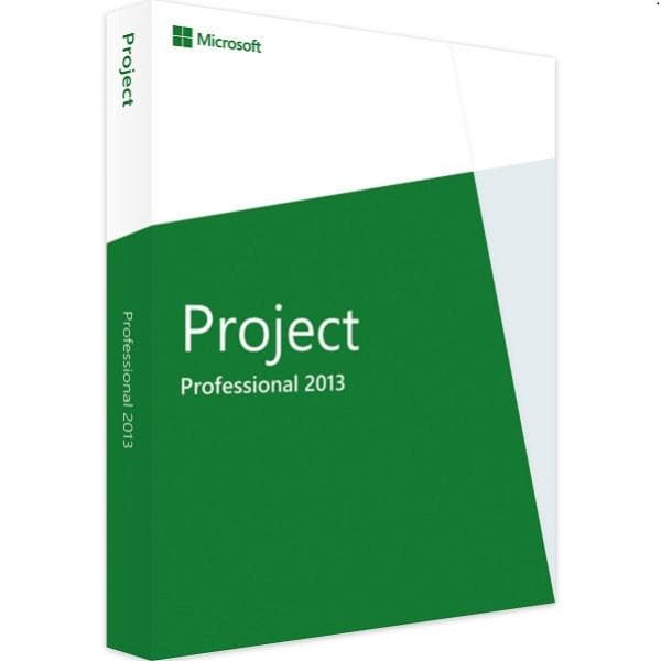 Microsoft Project 2013 Professional