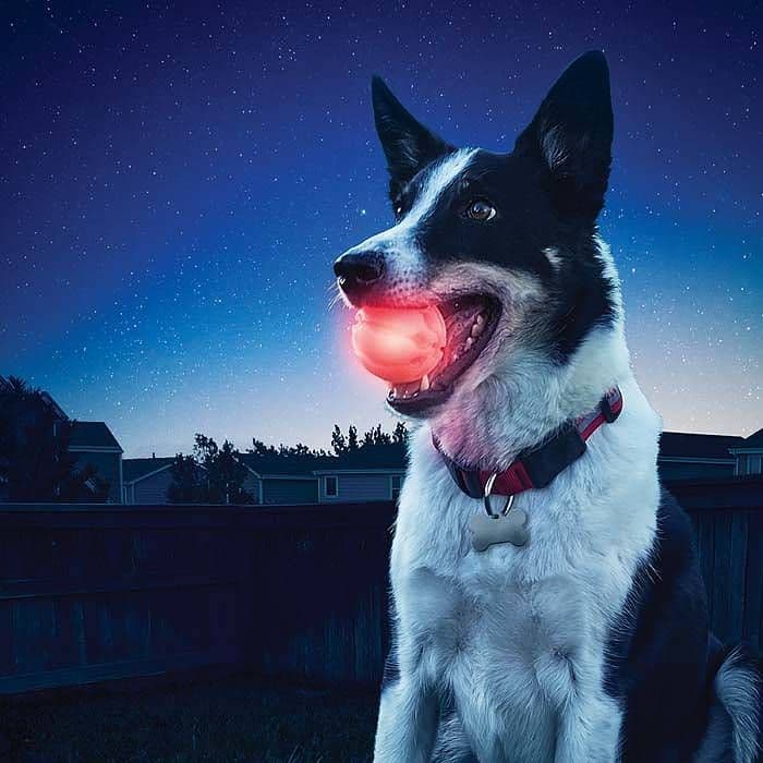 Nite Ize GlowStreak LED Ball (Color: Red)
