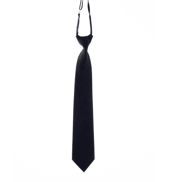 Safety-Sec Safety Tie with Elastic Band (Color: Gray)