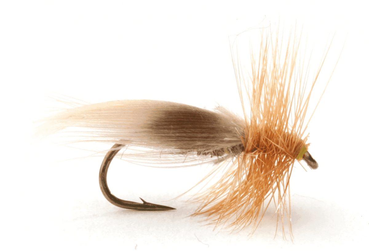 Umpqua Dryfly Europea 12 (Size: 12)
