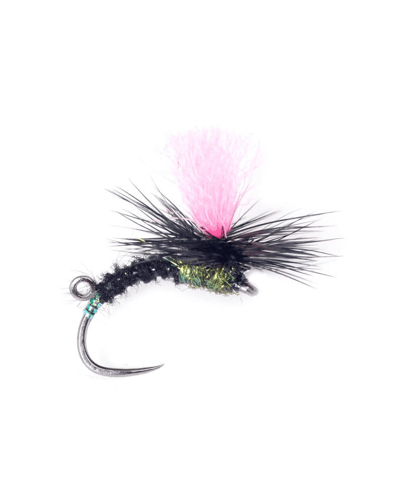 Guideline Dryfly Indi Black Klink #12