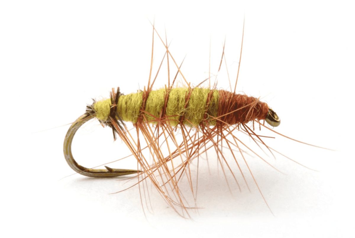 Umpqua Dryfly Superpuppan Olive (Size: 12)