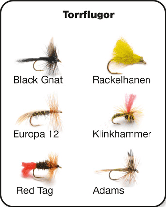 Darts Dryfly Kit 6 Pcs