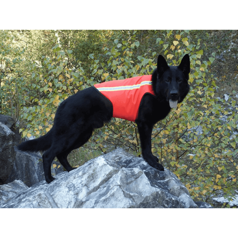 K9 Thorn High-Vis Reflective Vest for Dog (Size: Medium)