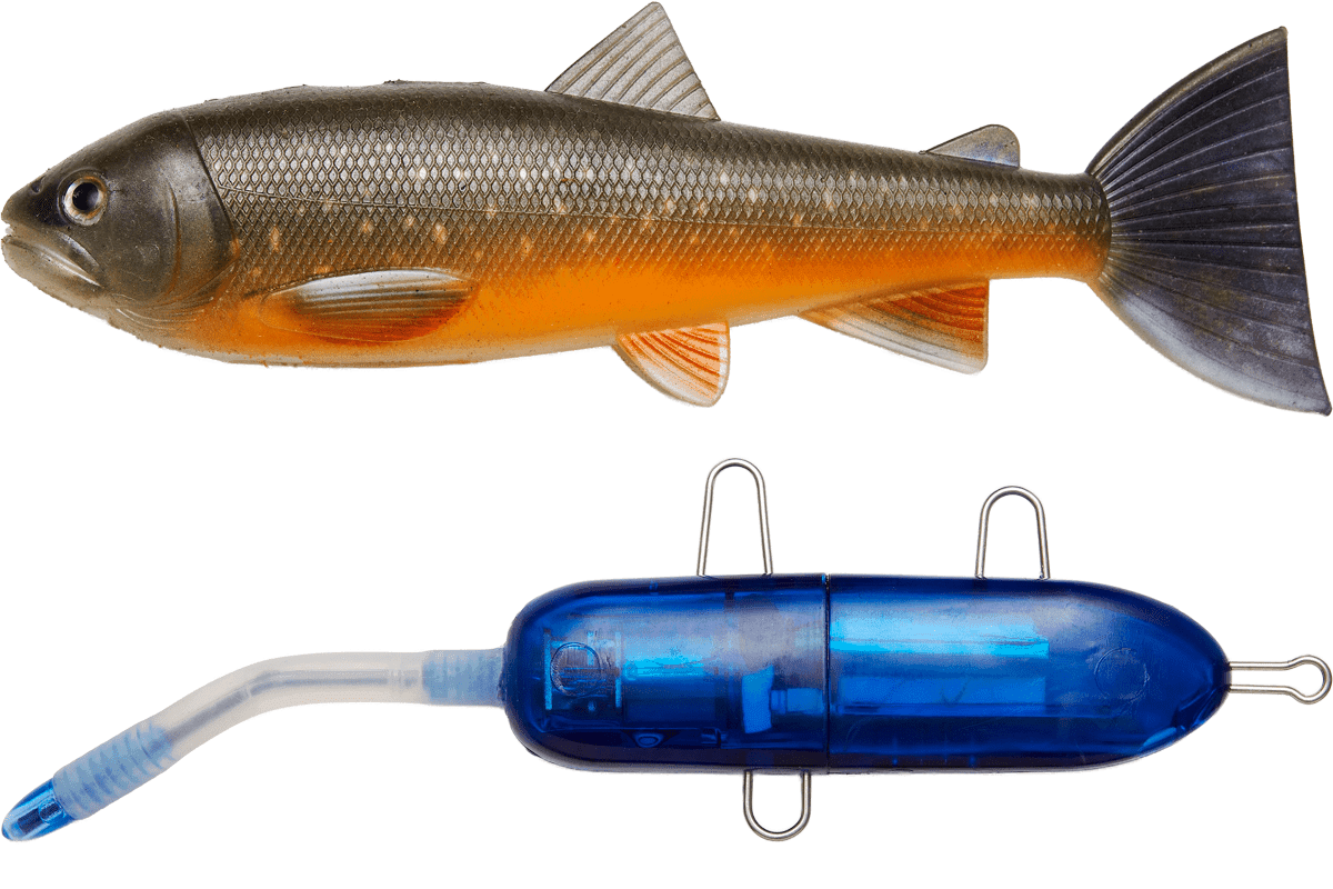 Pulz Bait Starter Kit 20cm 120g (Färg: Roach Kit 20cm - Natural Roach)