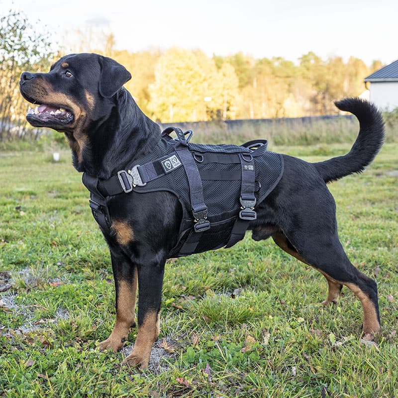 K9 Thorn Tactical Dog Vest (Color: Olive, Size: Medium)