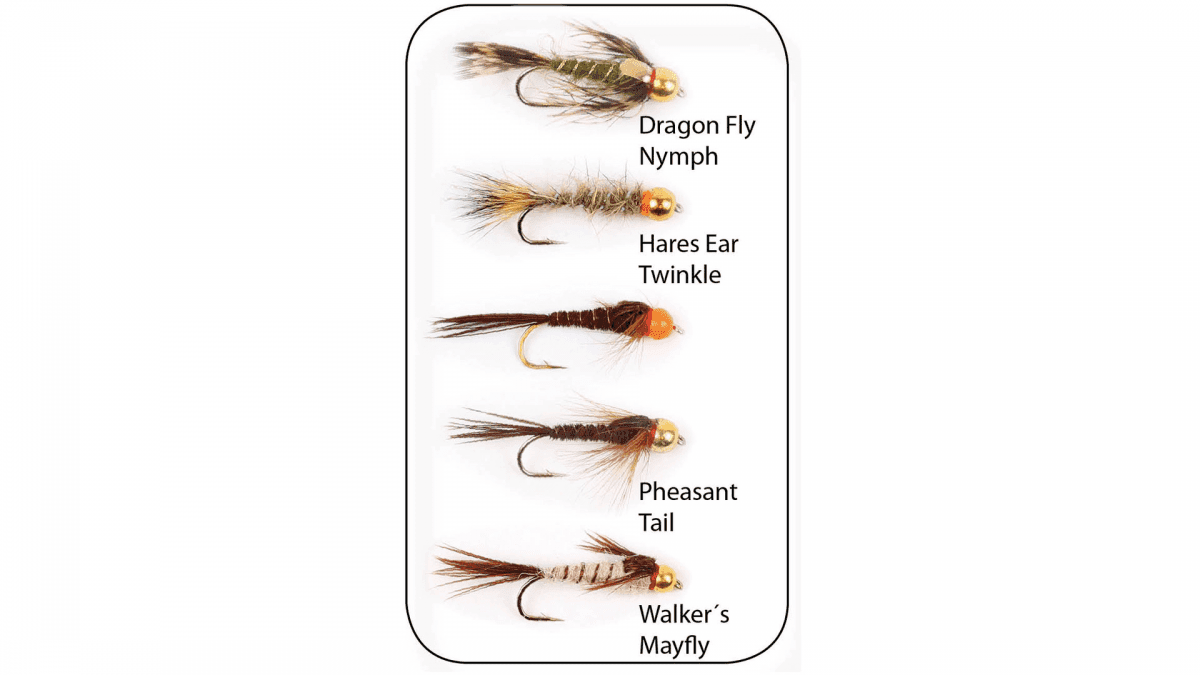 Wiggler Hurricane Fly Flugkollektion - Goldheads Long Shank 5p #10