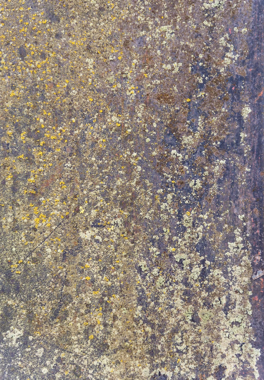 Wilton-teppe - Rey (blå/multi) (Størrelse: 200 x 280 cm)