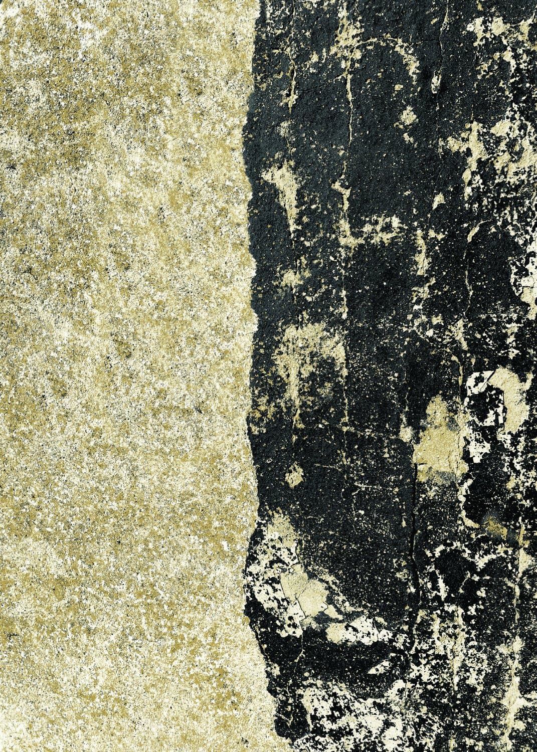 Wilton-teppe - Cyra (svart/gull) (Størrelse: 200 x 280 cm)