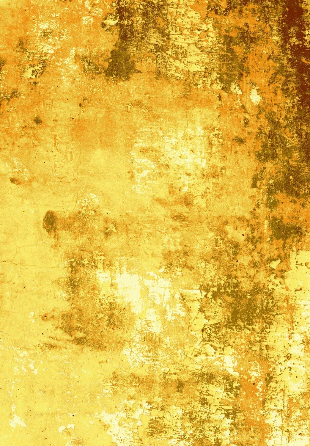 Wilton-teppe - Salitto (gull) (Størrelse: 240 x 340 cm)