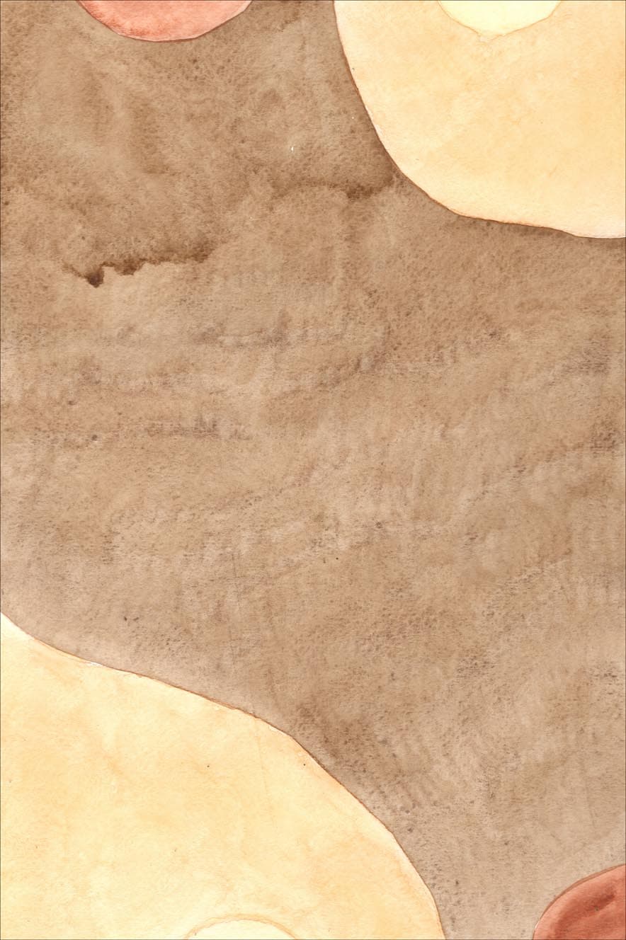 Wilton-teppe - Nisa (brun/beige) (Size: 180 x 270 cm)