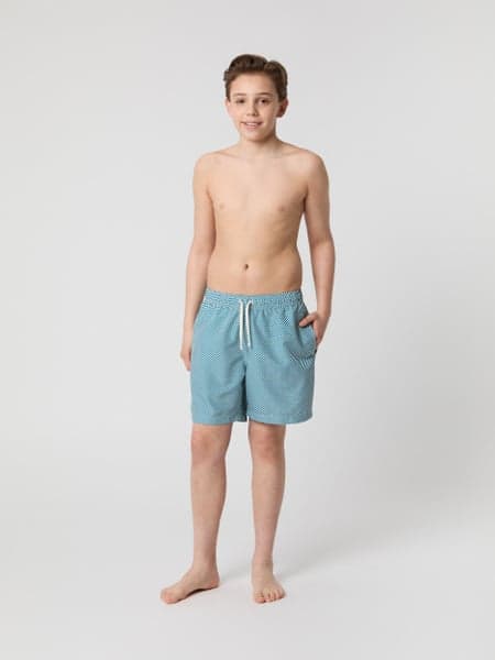 Borg Print Swim Shorts