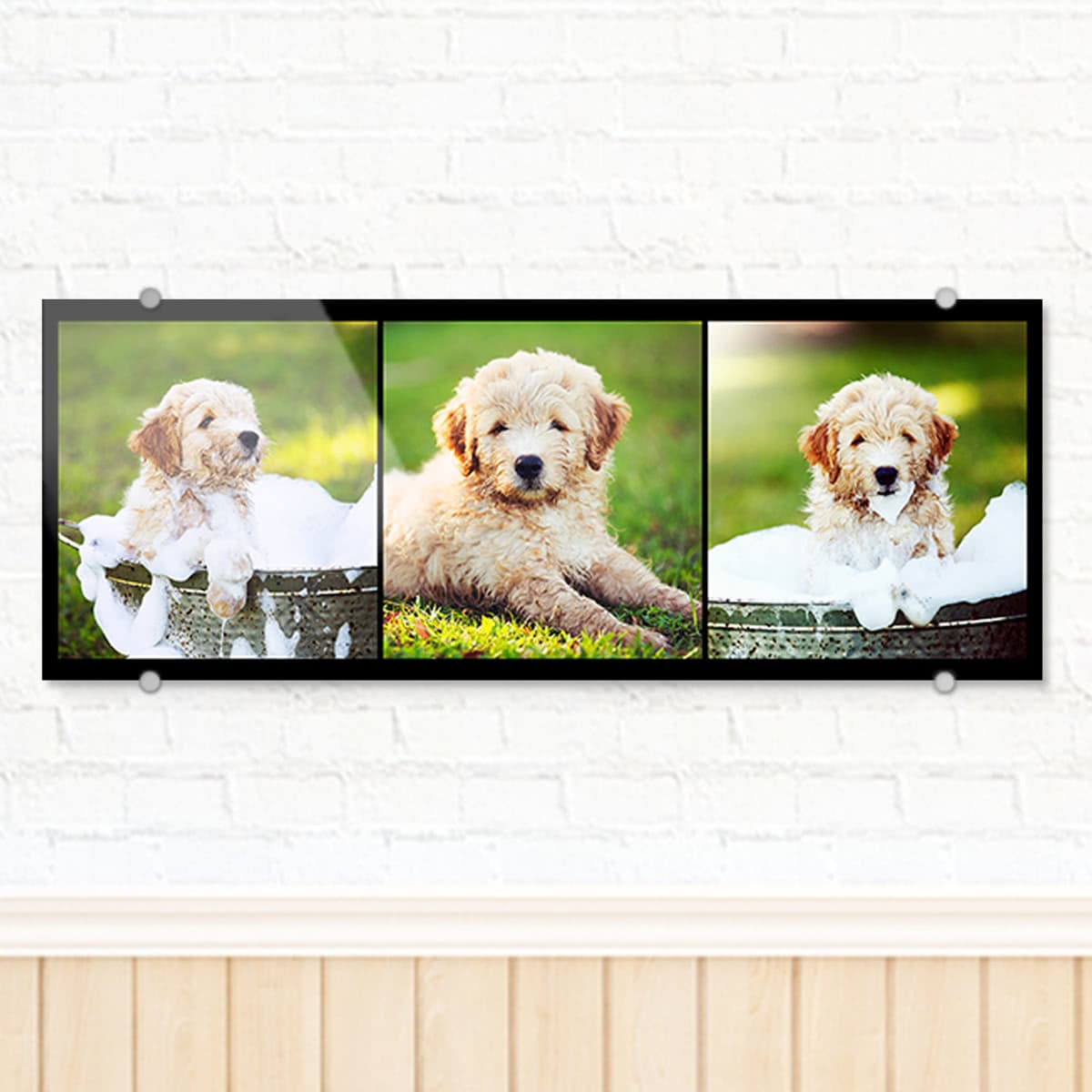 smartphoto Pleksiglassbilde 105 x 40 cm