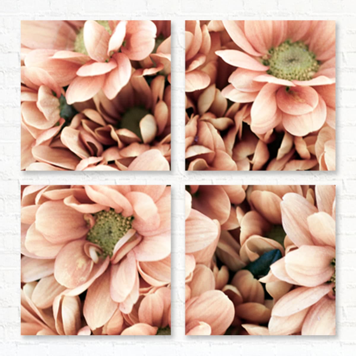 smartphoto Delt Fotoplate 4 Panel Firkant