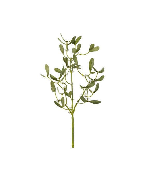 Misteltein snittblomst grønn