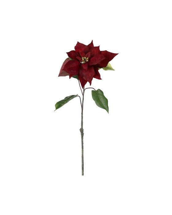 Julestjerne snittblomst burgundy