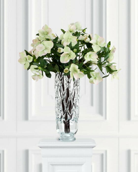 Julerose snittblomst hvit