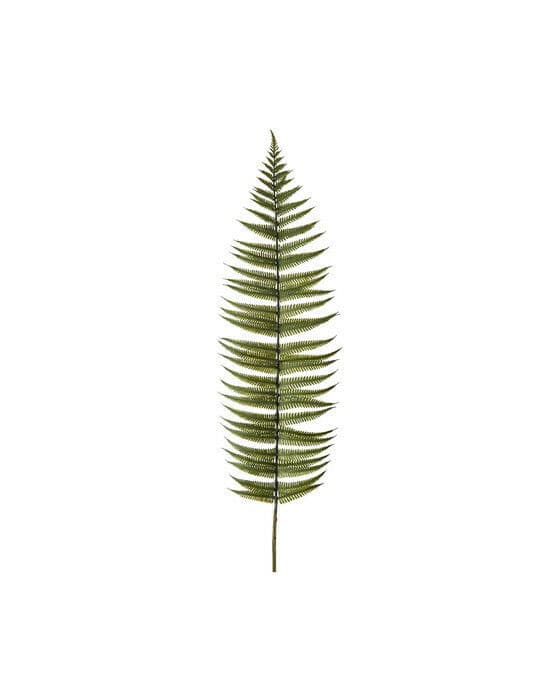 Fern Leaf Green
