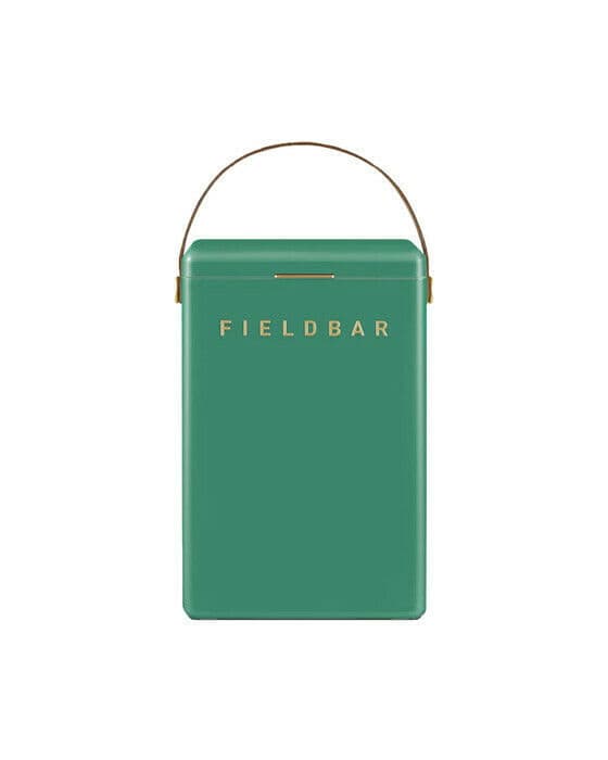 Fieldbar kjøleboks parisian green