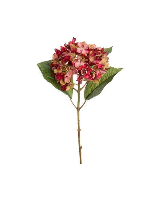 Hortensia snittblomst rød