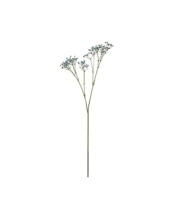 Brudeslør snittblomst blå