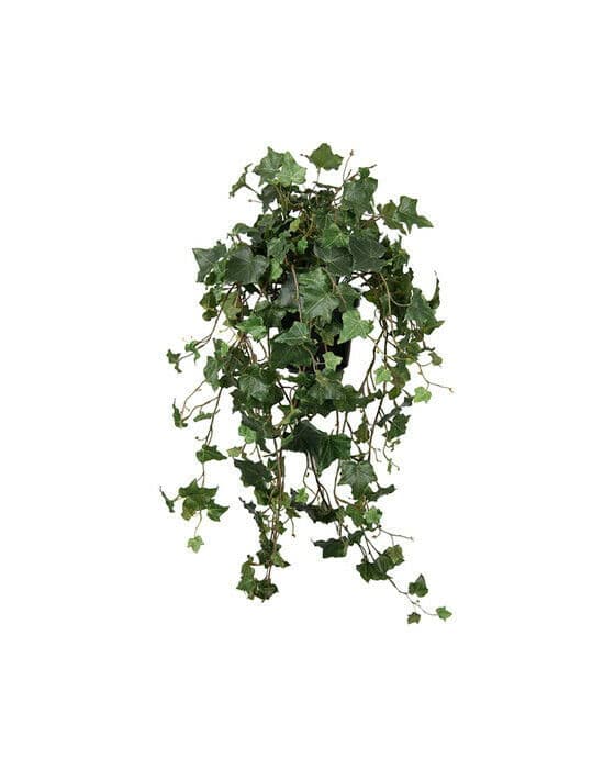 Eføy kunstig plante grønn