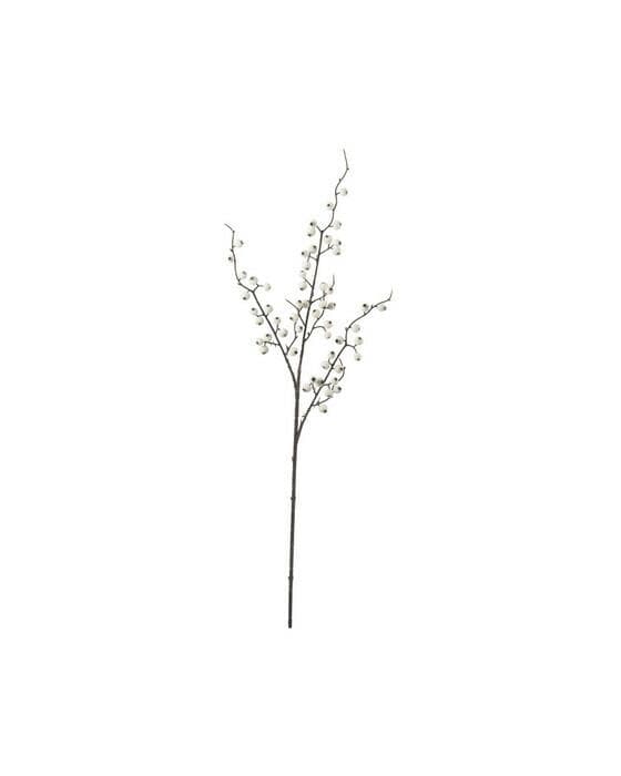 Bærkvist med is snittblomst hvit