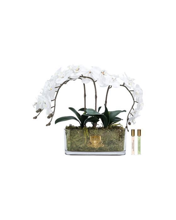 Orchidée Classique Gift Set