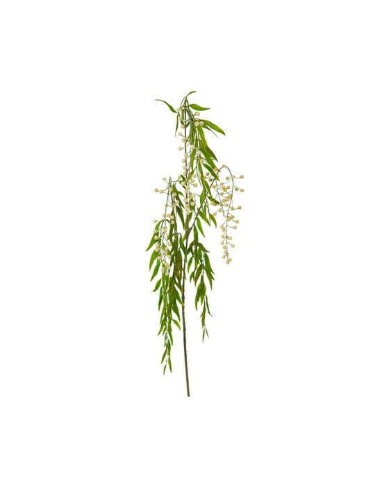 Berry Branch White