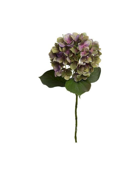 Hortensia snittblomst lilla/grønn