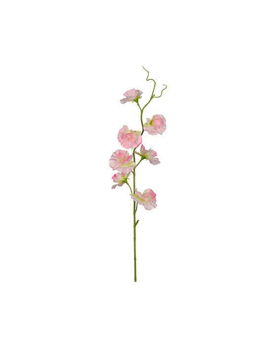 Luktært snittblomst rosa