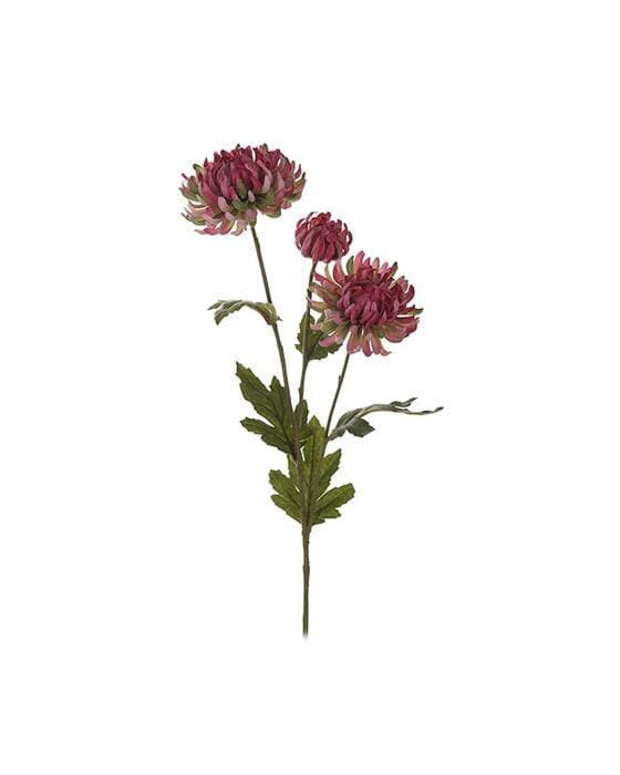 Krysantemum snittblomst rosa