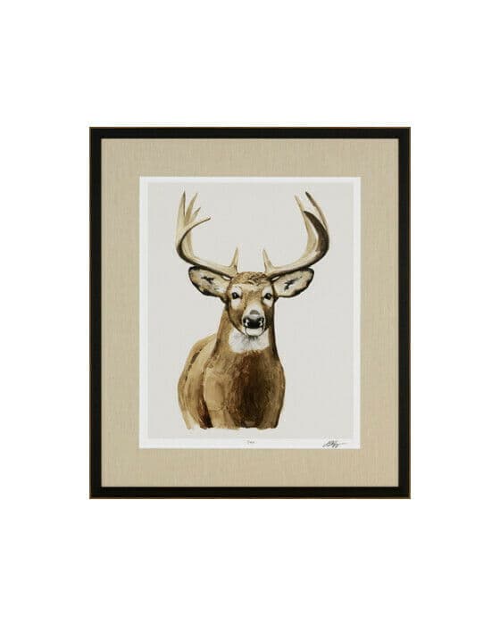 Handsome Whitetail II