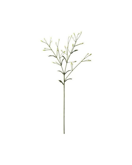 Bærkvist snittblomst hvit