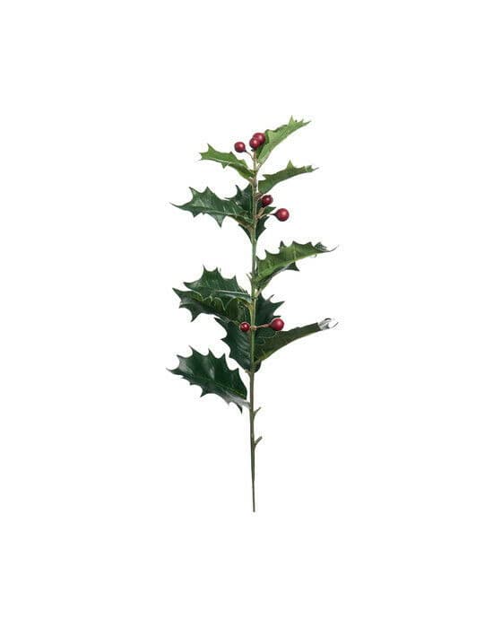 Holly kristtorn snittblomst
