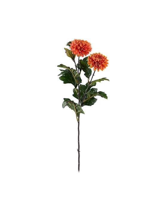 Krysantemum snittblomst oransje