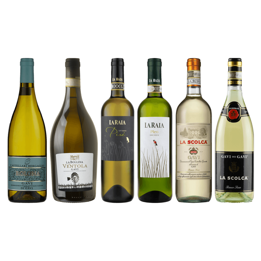 Gavi Tasting Case