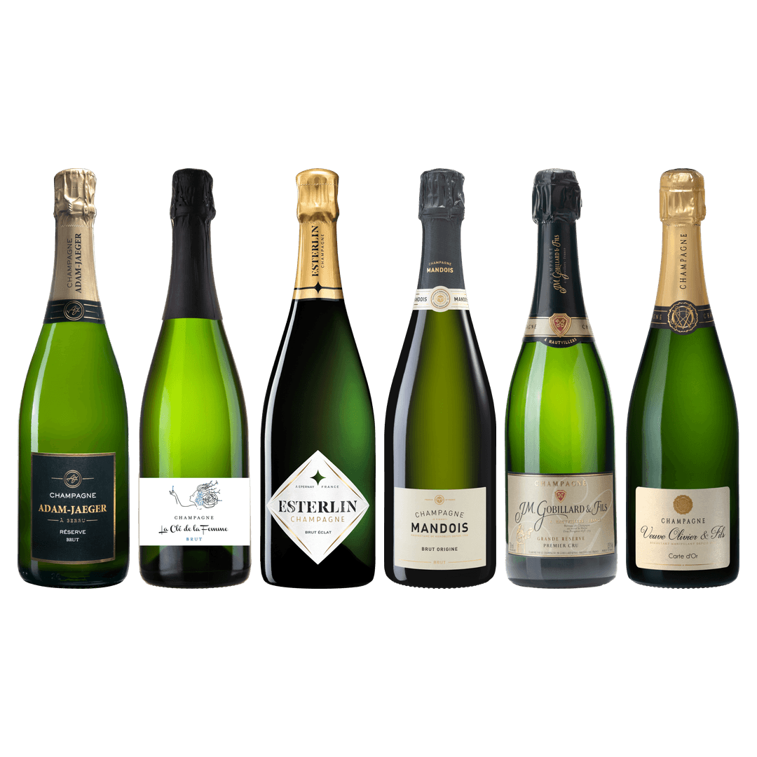 Top Value Champagne Tasting Case