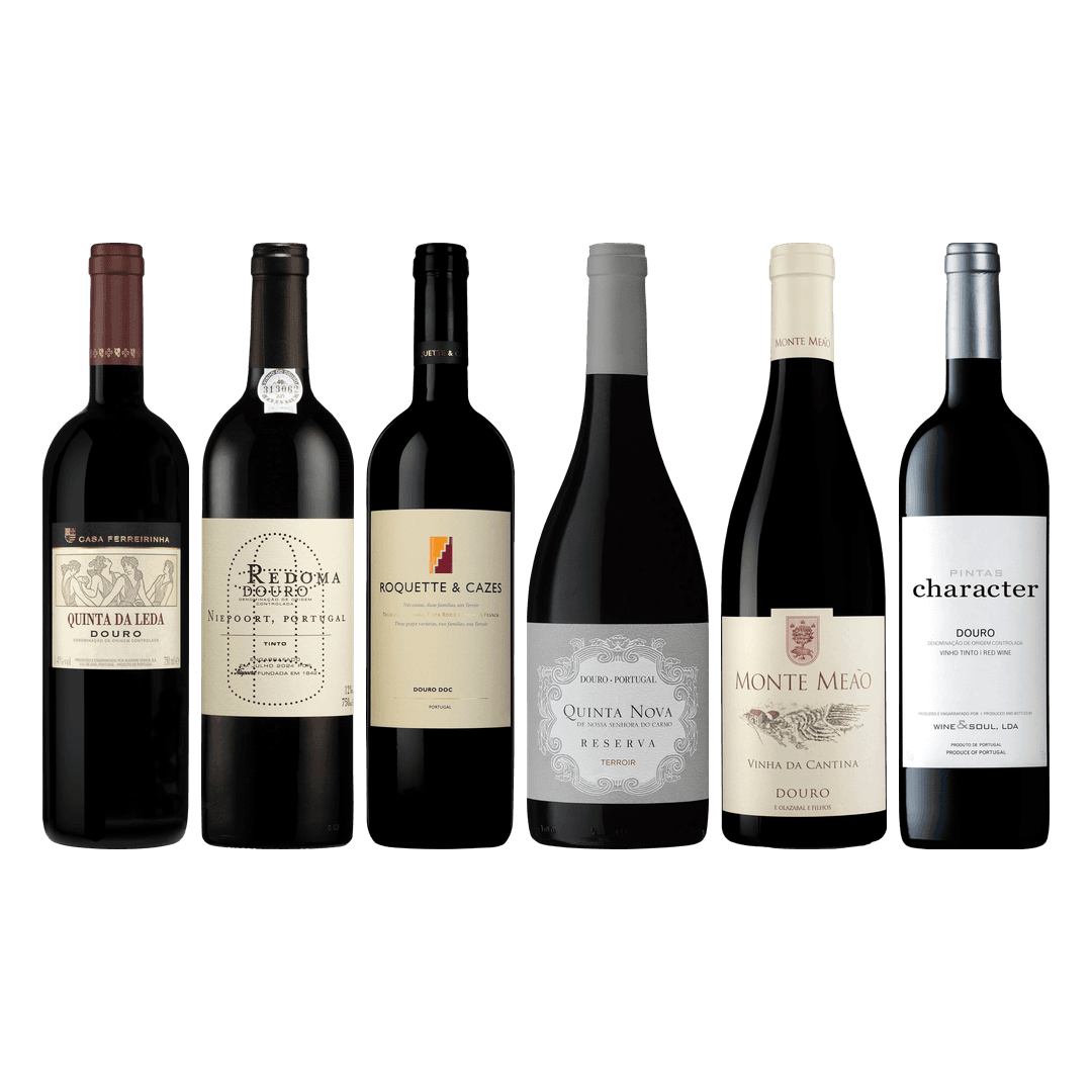 Douro Red Premium Tasting Case