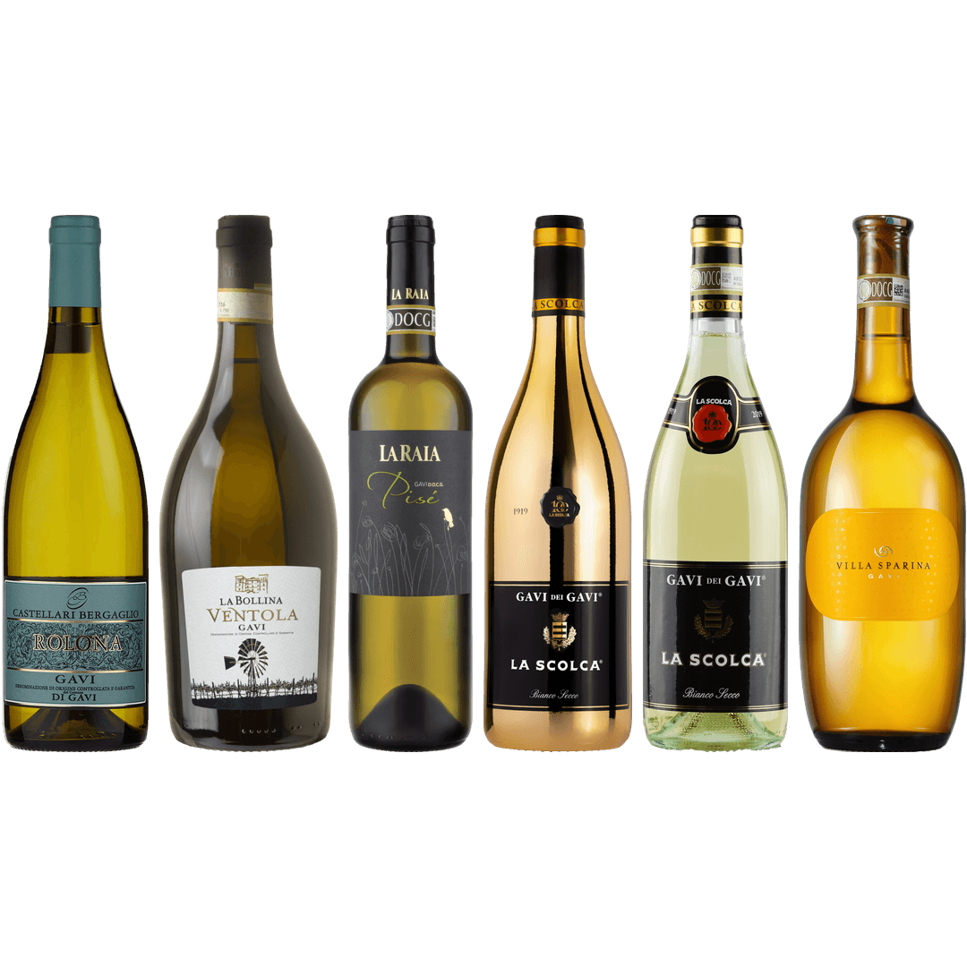 Gavi Tasting Case