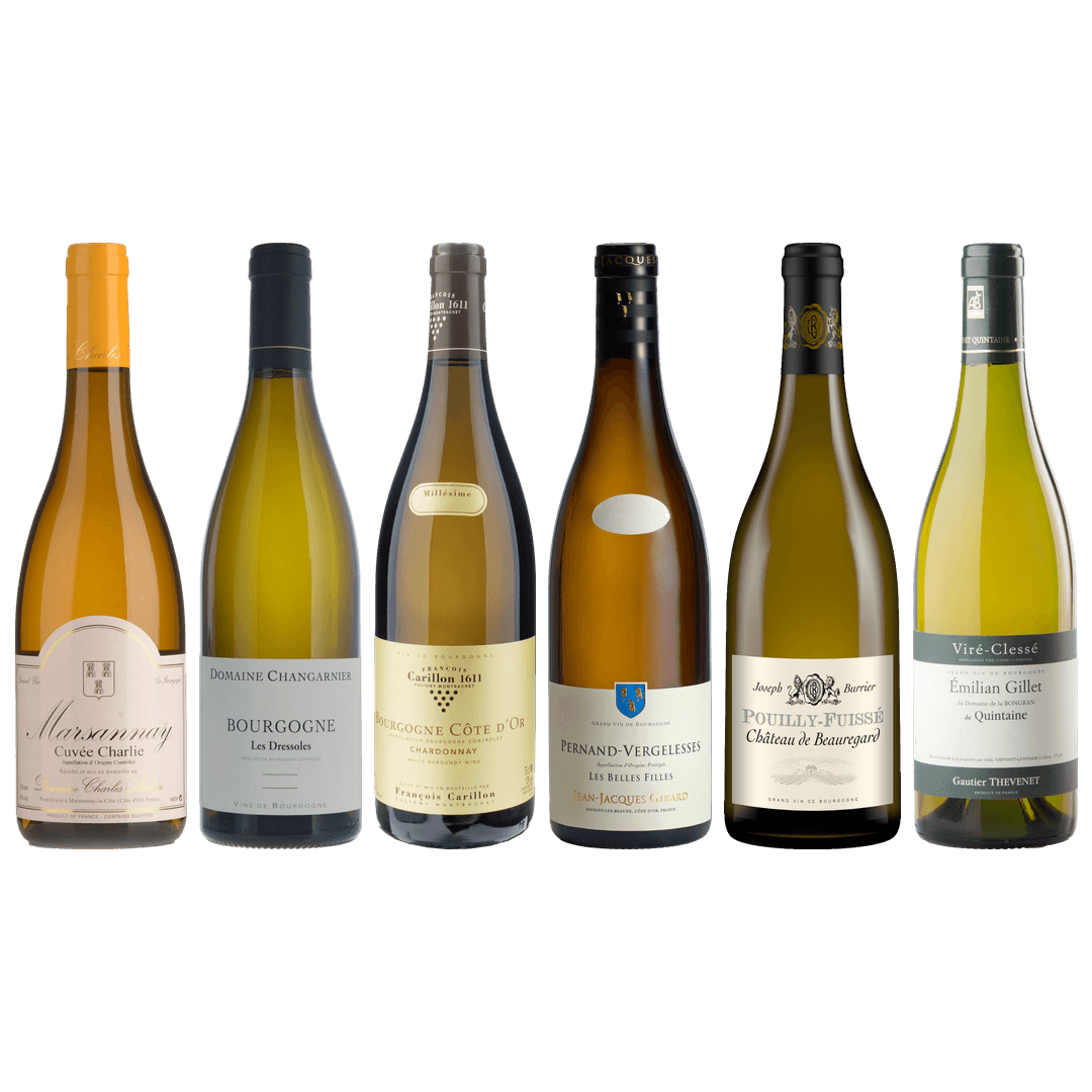 White Burgundy Tasting Case