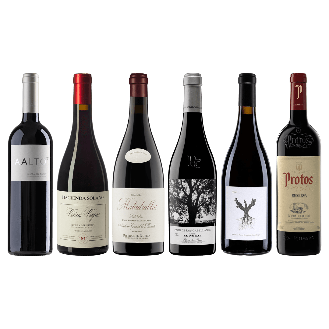 Ribera del Duero Premium Tasting Case