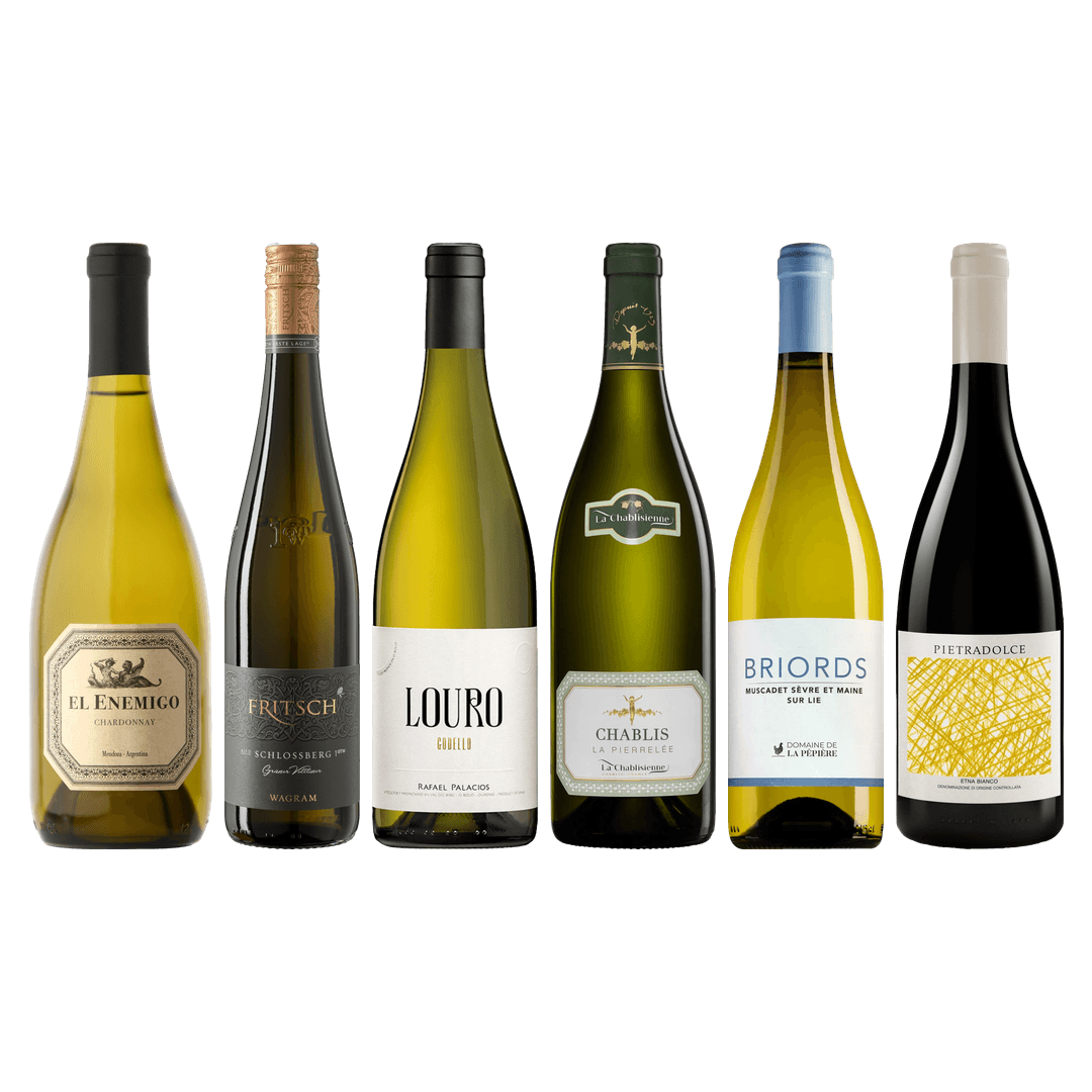 8Wines Staff Picks White Wine Tasting Case