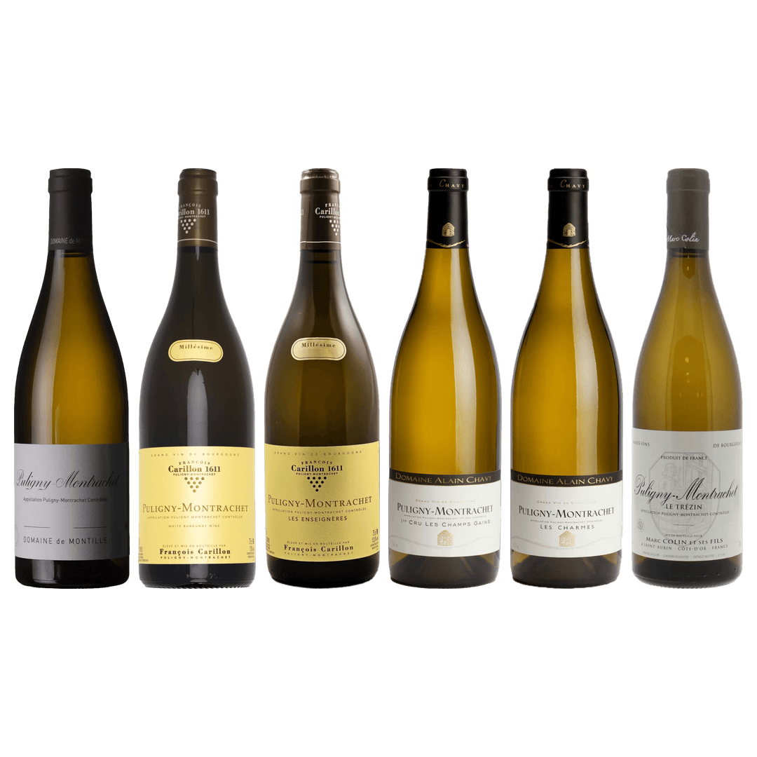 Puligny-Montrachet Tasting Case