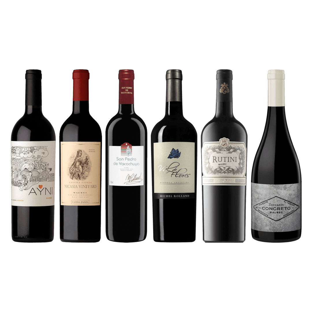 Argentinian Malbec Premium Tasting Case
