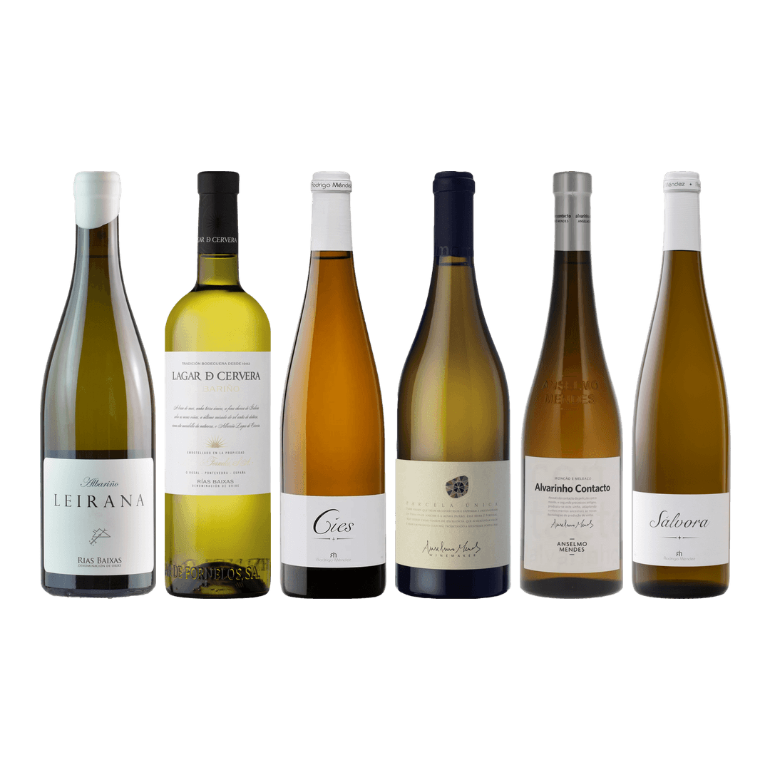Albarino Premium Tasting Case