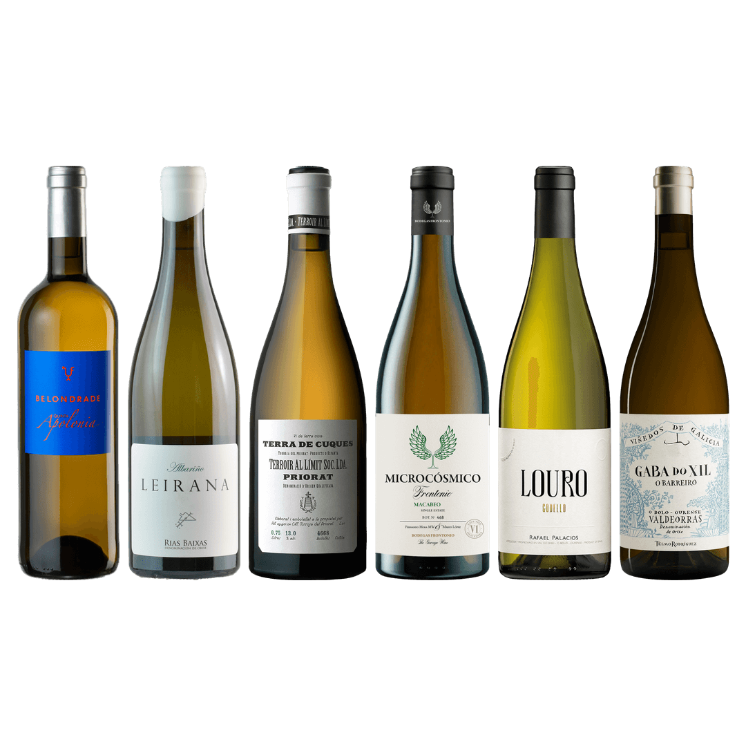 Spanish White Wine Premium Tasting Case