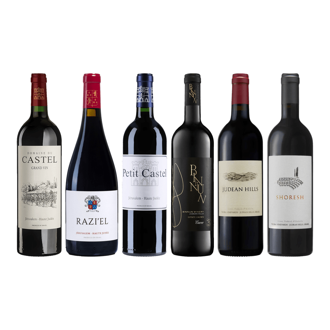 Israel Red Wine Premium Tasting Case