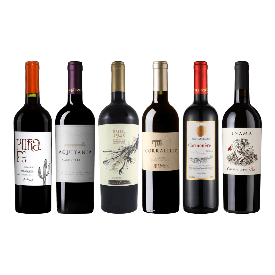 Carmenere Tasting Case